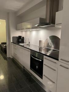 uma cozinha com um lavatório e um fogão forno superior em Fantastisk lejebolig med direkte udsigt til sø em Bogense