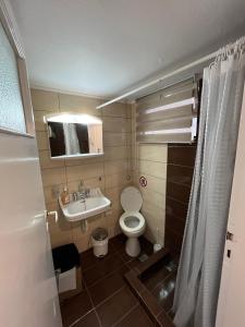 a small bathroom with a toilet and a sink at Sea View Apartments near Athens Airport in Artemida