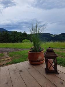 eine Pflanze in einem Topf auf einem Holztisch in der Unterkunft Glamping hiška Gril in Ljubno