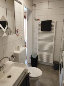 a bathroom with a white toilet and a sink at Studio Sonnenhang Würnitz in Würnitz
