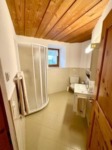 a bathroom with a shower and a sink at Casa Zanetti in Le Prese +51 photos