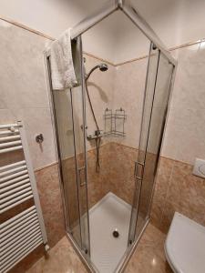 eine Dusche mit Glastür im Bad in der Unterkunft Vita Loca Apartments in Peschiera del Garda