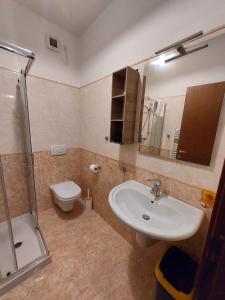 ein Bad mit einem Waschbecken, einem WC und einer Dusche in der Unterkunft Vita Loca Apartments in Peschiera del Garda
