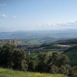 uitzicht op een vallei vanaf een heuvel met bomen bij Two stand-alone flats on the cliff with wild animals, Galilee Sea & Mountains View in Safed