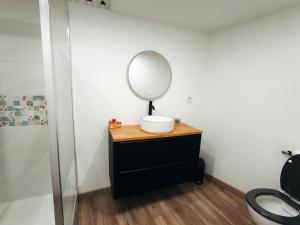 ein Badezimmer mit einem Waschbecken und einem Spiegel auf einem Waschtisch in der Unterkunft Gîte de l'atelier in Saint-Privat