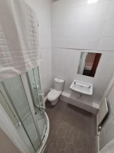 a bathroom with a toilet and a sink and a shower at Farina No6, Sea view apartment sleeping 4 guests in Bridlington