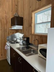 a kitchen with a sink and a stove and a microwave at Chalets du Domaine Yamaska in Bromont