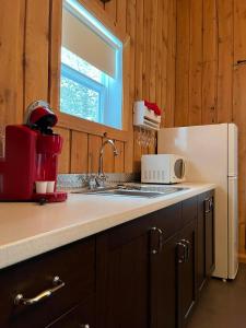 Kuchyň nebo kuchyňský kout v ubytování Chalets du Domaine Yamaska