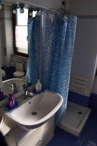bagno con lavandino e tenda doccia blu di Centra House - Big Gardened Flat Near Rome a Velletri