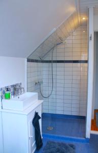a bathroom with a sink and a shower at Rosenhøj Bed and Breakfast in Svendborg