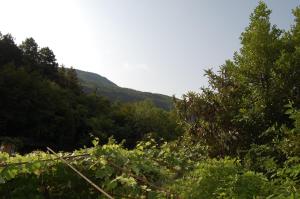 Φυσικό τοπίο κοντά σε αυτό το διαμέρισμα