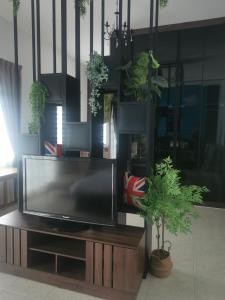 uma televisão de ecrã plano num centro de entretenimento de madeira com vasos de plantas em Deli Villa em Muar