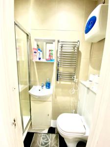 uma pequena casa de banho com WC e lavatório em Lovely Cosy Studio Apartment Ground Floor In Central London em Londres