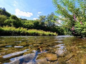 rzeka z kamieniami w wodzie i drzewach w obiekcie Chalet Scharflee w mieście Goebelsmuhle