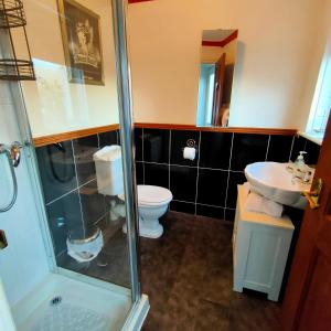 a bathroom with a shower and a toilet and a sink at The Old Smiddy Cottage and Apartment in Balloch