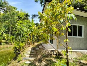 une maison avec un banc devant elle dans l'établissement บ้านเล็กในป่าใหญ่โฮมสเตย์ กงหรา พัทลุง, 