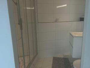 Modern Studio with Lake View near Zurich的一间浴室