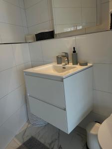 Modern Studio with Lake View near Zurich的一间浴室