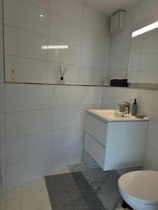 Modern Studio with Lake View near Zurich的一间浴室