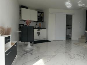 Modern Studio with Lake View near Zurich的厨房或小厨房