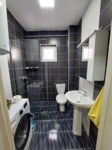 クマノヴォにあるLili`s Apartmentのバスルーム(トイレ、洗面台付)