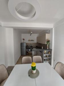 クマノヴォにあるLili`s Apartmentのキッチン、ダイニングルーム(白いテーブル、椅子付)