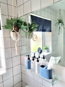 La salle de bains est pourvue d'un miroir et d'une étagère avec des plantes. dans l'établissement Apartment 9 3/4, à Watford
