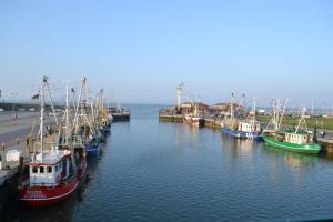 a group of boats are docked in a harbor at Am-Deichtor in Dornumersiel