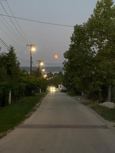 Príroda v okolí apartmánu