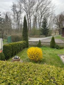 a garden with a fence and a yellow bush at Ferienwohnungen Pohl in Bad Rodach