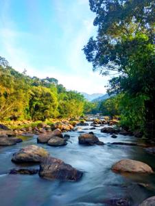 a river with rocks and trees in the background at Mistey Valley Munnar in Anachal
