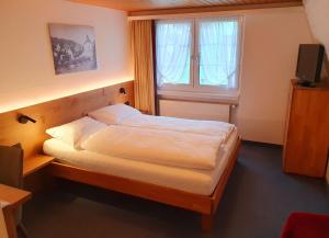 a bedroom with a bed with a window and a television at Adler Hotel in Appenzell