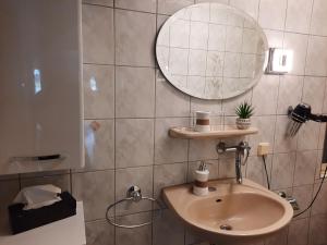 a bathroom with a sink and a mirror at Haus Seeblick in Roßbach