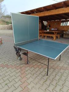 a blue ping pong table sitting on a patio at Casa Tonyza in Cisnădie