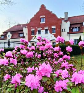 a bunch of pink flowers in front of a house at Grand Sal in Wieliczka