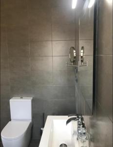 La salle de bains est pourvue de toilettes, d'un lavabo et d'un miroir. dans l'établissement Casa Iparra Txiki Berri, à Irún