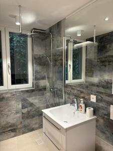 een badkamer met een wastafel en een douche bij Lake Dream in Brissago