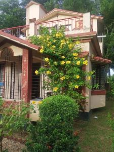 Zahrada ubytování ARANYAK homestay