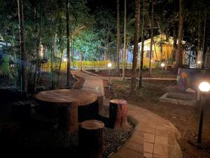 a picnic table in a park at night at Greenwoods Nature Camp in Mudumalai National Park