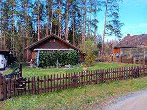 Κήπος έξω από το Ferienhaus Obert - Drognitz