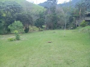 un campo con un árbol en el medio. en Camping Casa Velha, en Guarapari