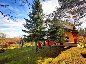 a house with a pine tree in front of it at Vila Gorocvet in Sremska Kamenica