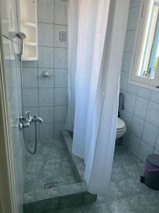 un baño con ducha y WC en Το Αγνάντι, en Galaxidhion