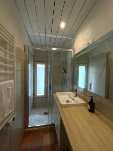 La salle de bains est pourvue d'un lavabo, d'une douche et d'un miroir. dans l'établissement Terracotta - Belle maison, 2 chambres, jardin - Plages et commerces à pied, au Croisic