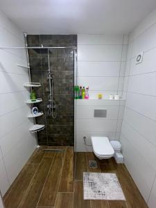ein Bad mit einer Dusche und einem WC in der Unterkunft Luxury Apartment in Gnjilane