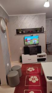 a living room with a tv and a red rug at Za uzivanje u miru in Priboj