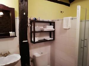 y baño con aseo, lavabo y espejo. en Apartamentos rurales Casa Xepo, en Rengos