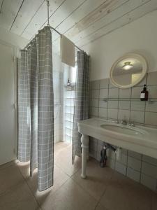 ein Bad mit einem Waschbecken, einer Dusche und einem Spiegel in der Unterkunft Le cocon - Maison 2 chambres avec jardin - Tout à pied in Le Croisic