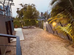 a backyard with a fence and a palm tree at Container Manglar House in Nautla