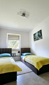 2 bedden in een slaapkamer met een raam bij Kolo Apartament Gold in Koło